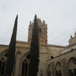 SORTIDA CULTURAL: BELLPUIG. VALLBONA DE LES MONGES I CALÇOTADA TRADICIONAL