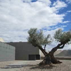 SORTIDA CULTURAL: LA FUNDACIÓ SORIGUÉ I LA SEU VELLA DE LLEIDA